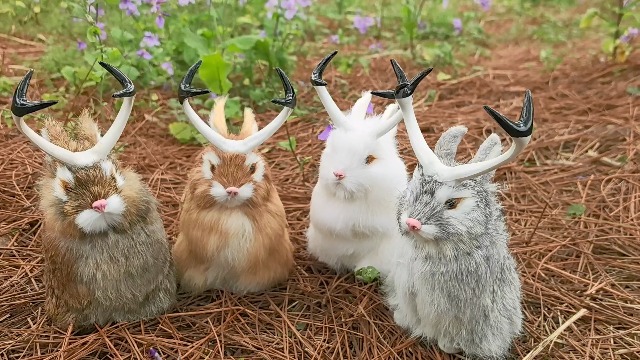 Amazon.com: FlyEgg 4 Color~Realistic Jackalope Rabbit in Fur